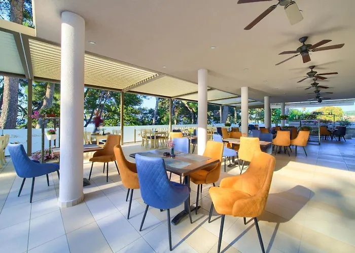 Hotel Bor